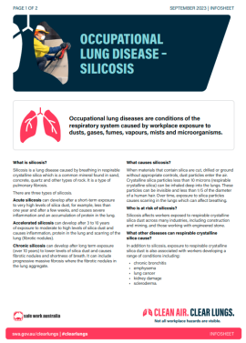 Occupational lung disease fact sheet thumbnail image